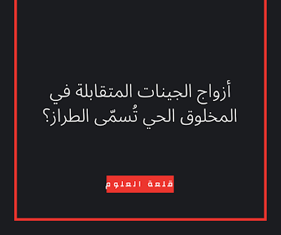 صورة
